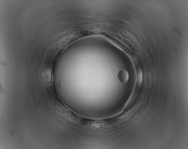 X0000090900420200708061507