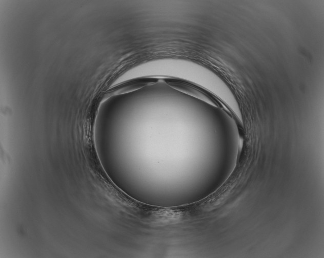 X0000090900421200708061507