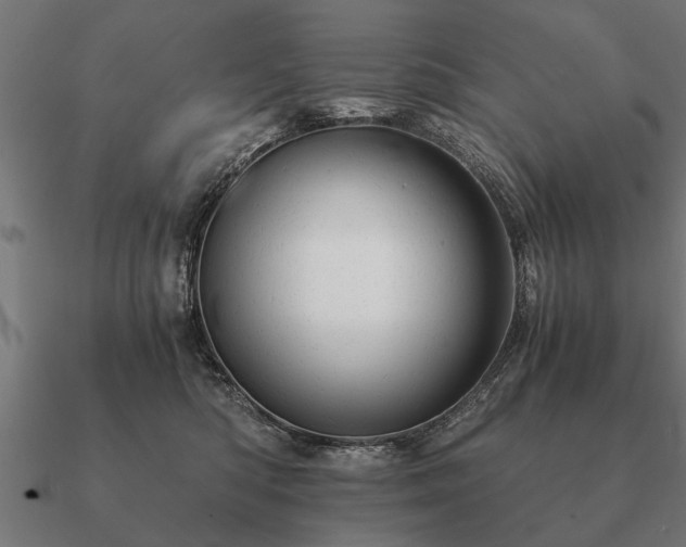 X0000090900422200708061507