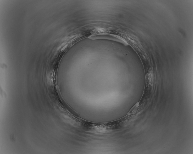 X0000090900423200708061507