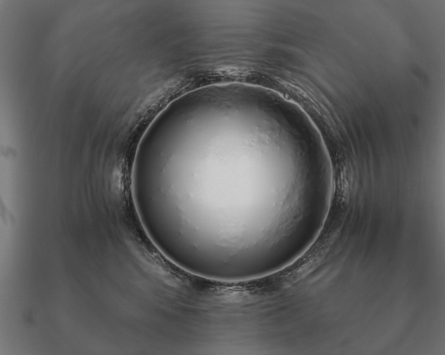 X0000090900424200708061507