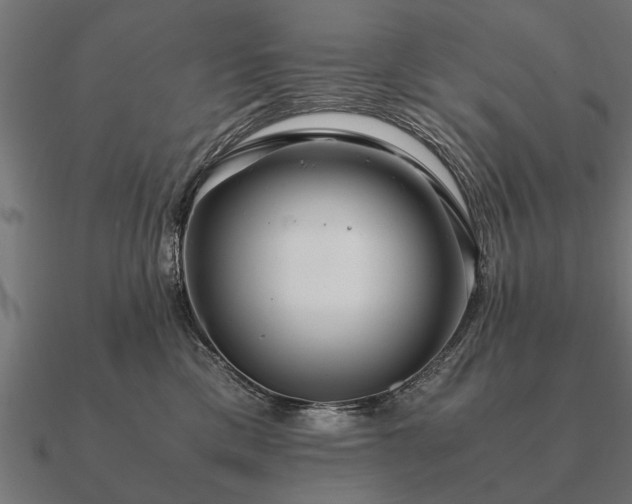 X0000090900425200708061507