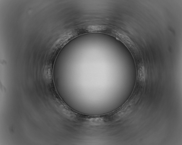 X0000090900426200708061507