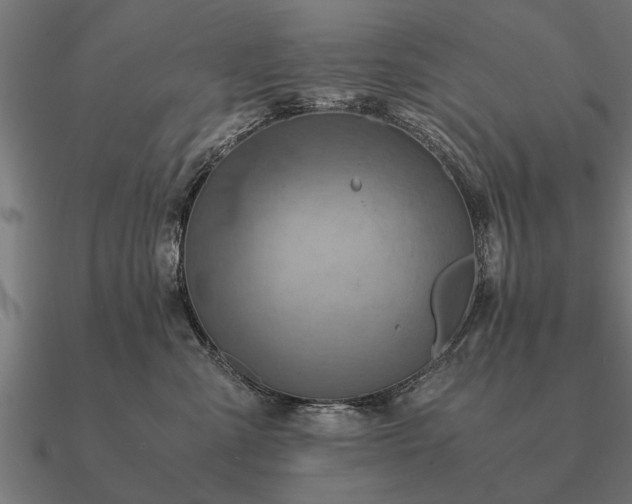 X0000090900427200708061507