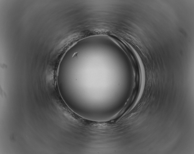 X0000090900428200708061507