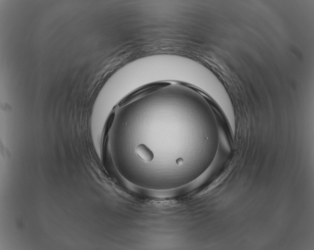 X0000090900429200708061507