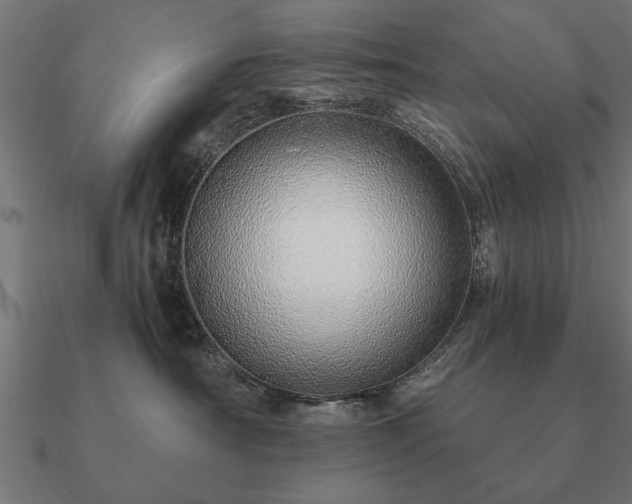 X0000090900430200708061507