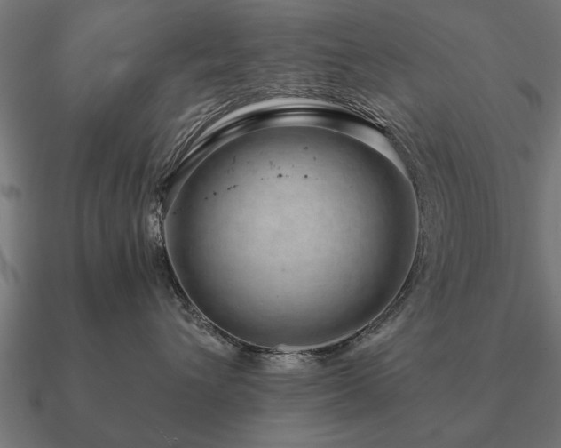 X0000090900432200708061507