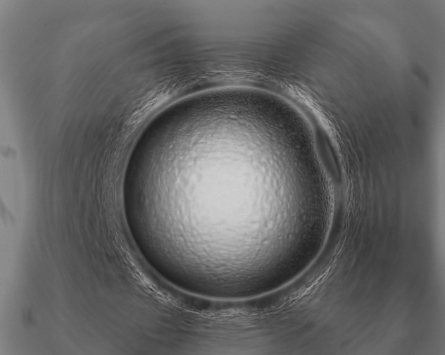 X0000090900433200708061507