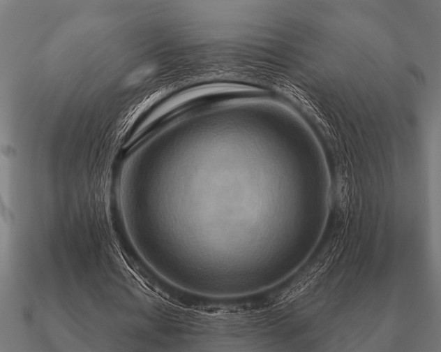 X0000090900434200708061507