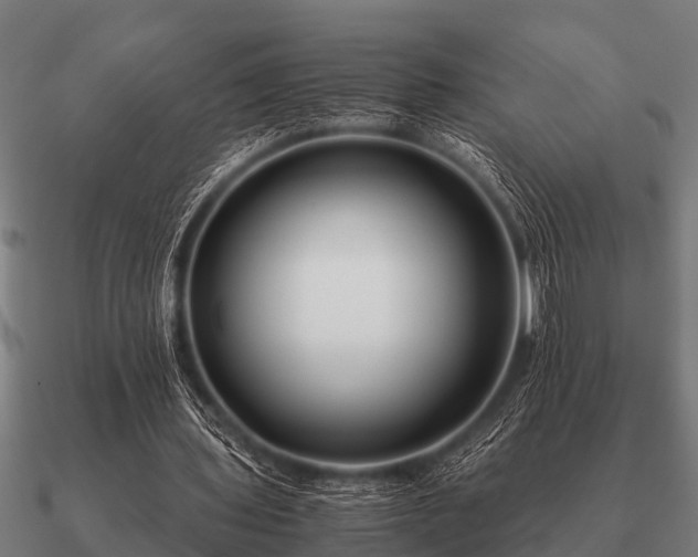 X0000090900435200708061507