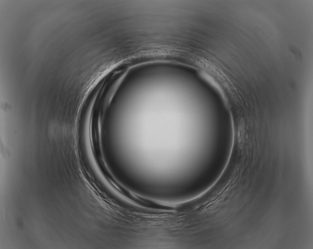 X0000090900436200708061507