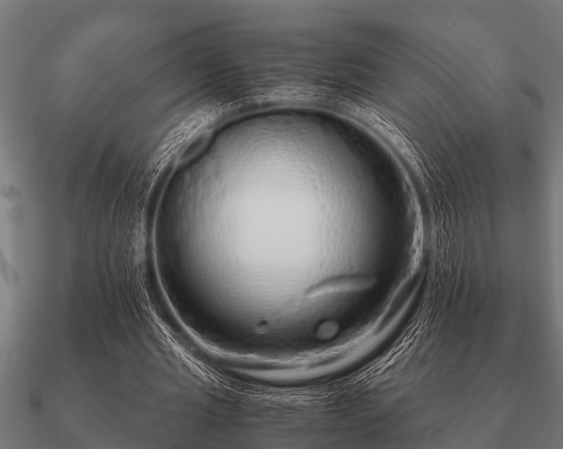 X0000090900437200708061507