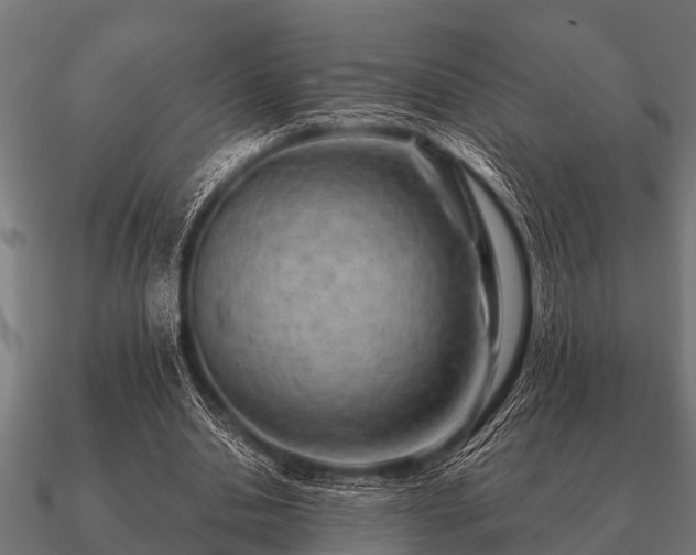 X0000090900438200708061507