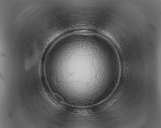 X0000090900439200708061507