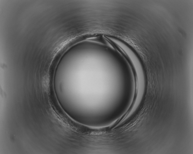 X0000090900440200708061507