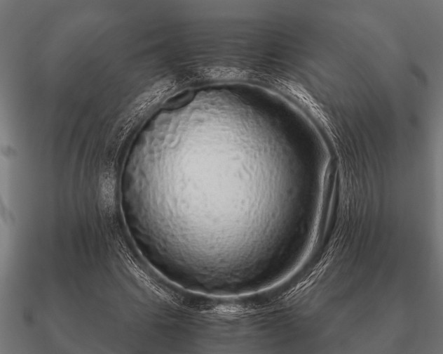 X0000090900441200708061507