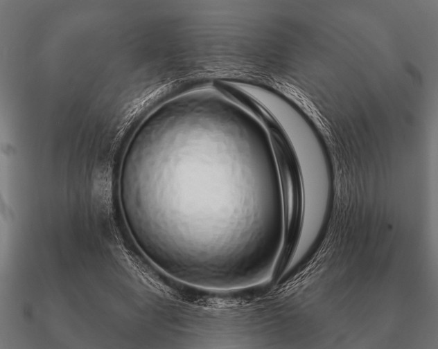 X0000090900442200708061507