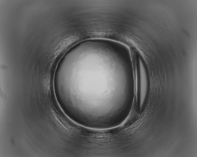 X0000090900443200708061507