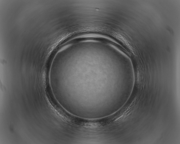 X0000090900444200708061507