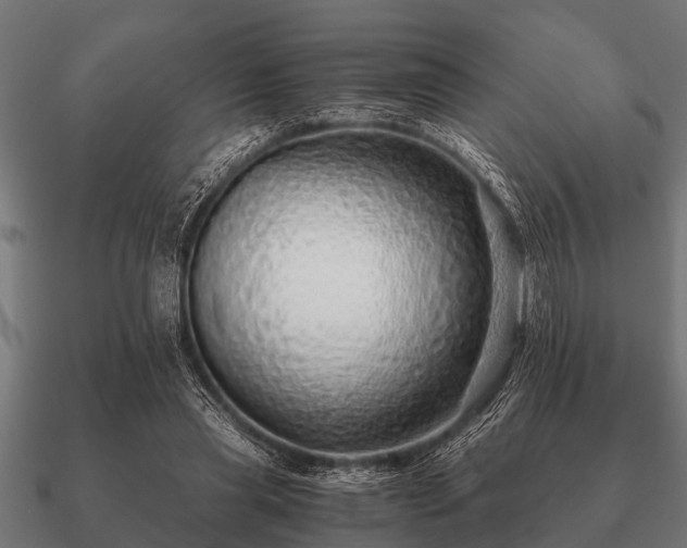 X0000090900445200708061507