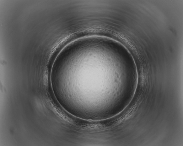 X0000090900446200708061507