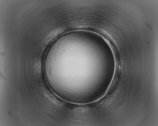 X0000090900447200708061507