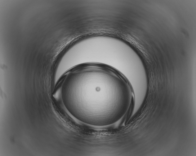 X0000090900448200708061507