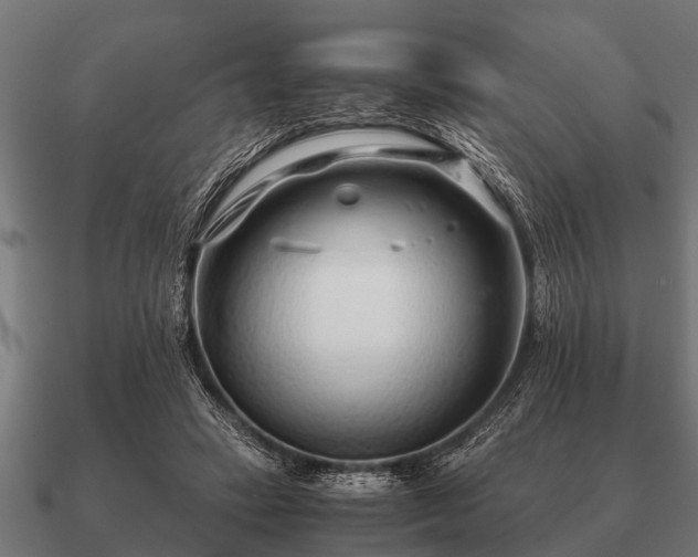 X0000090900449200708061507