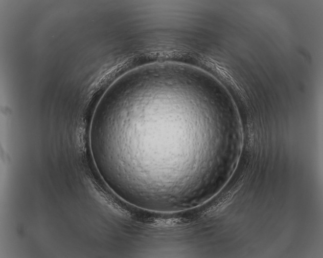 X0000090900450200708061507