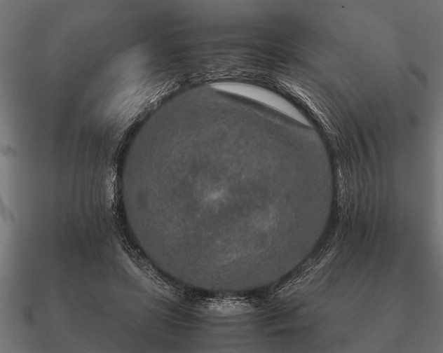 X0000090900451200708061507