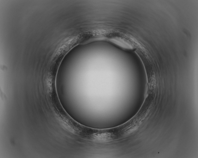 X0000090900452200708061507