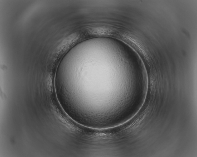 X0000090900453200708061507