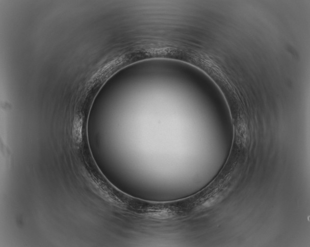 X0000090900454200708061507