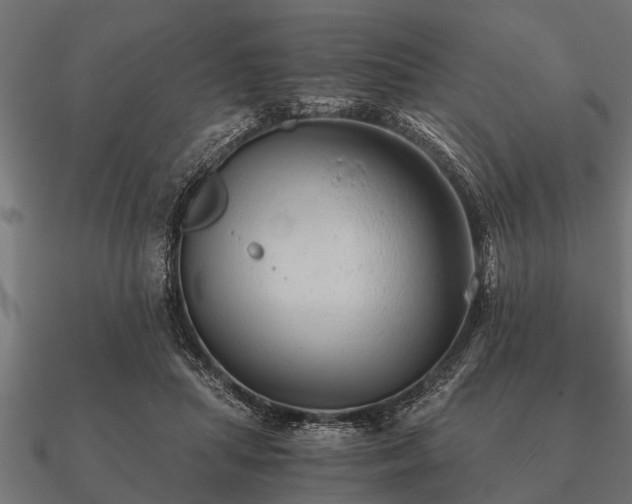 X0000090900455200708061507