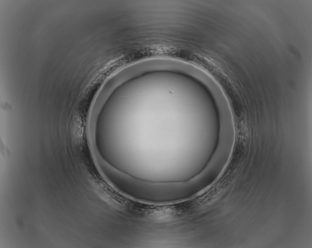 X0000090900456200708061507