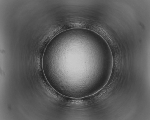 X0000090900457200708061507