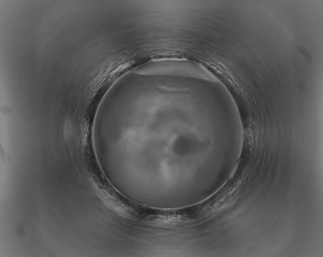 X0000090900458200708061507