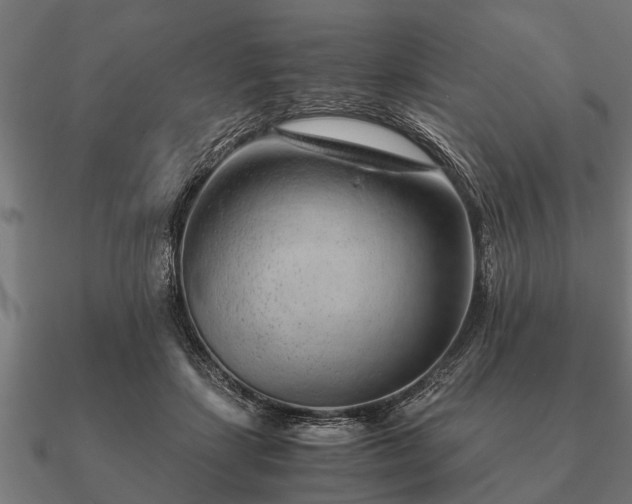 X0000090900459200708061507