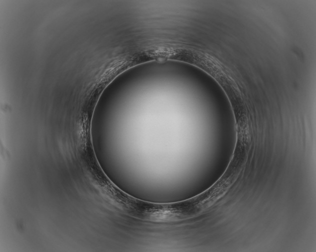 X0000090900460200708061507