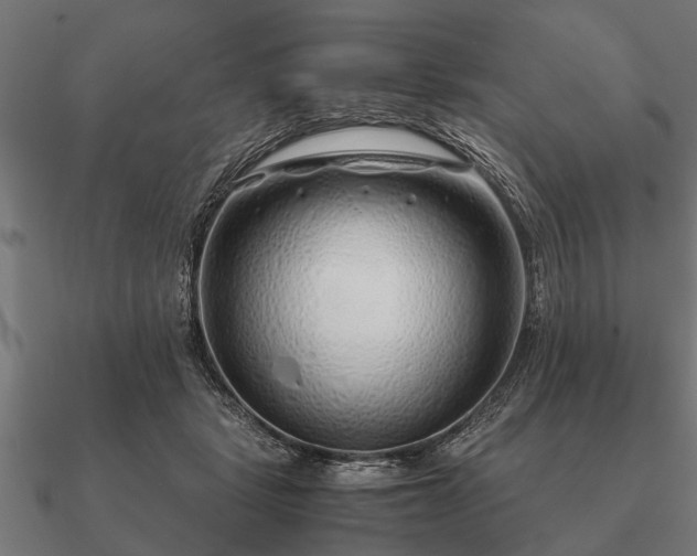 X0000090900461200708061507