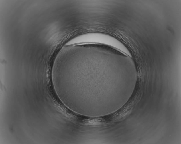 X0000090900462200708061507