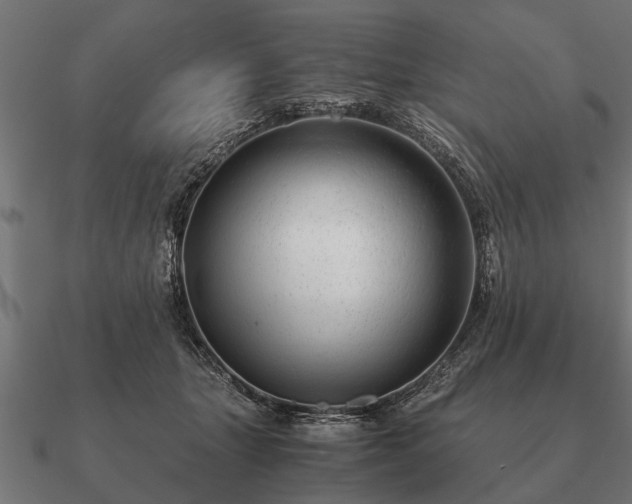 X0000090900463200708061507