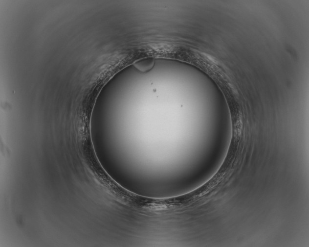 X0000090900464200708061507