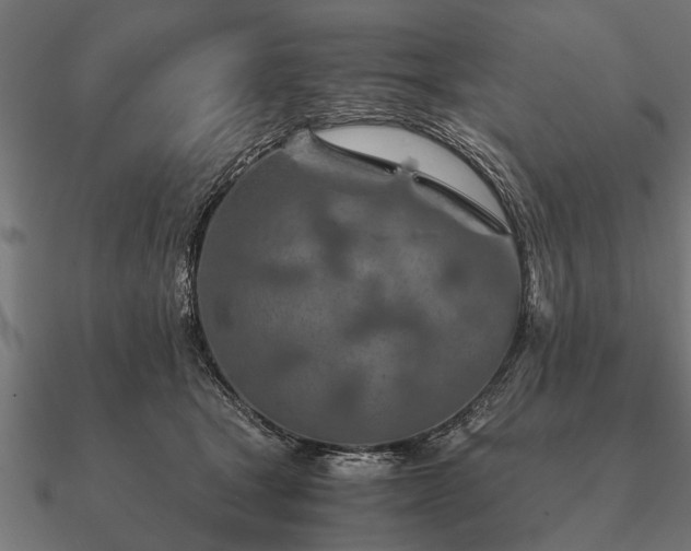 X0000090900465200708061507