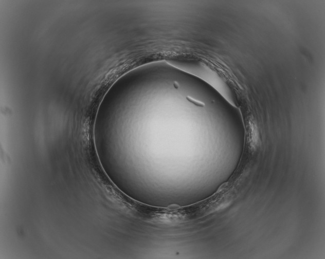 X0000090900466200708061507