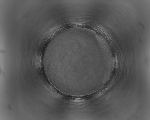 X0000090900467200708061507