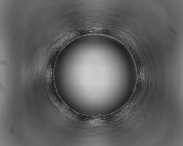 X0000090900468200708061507