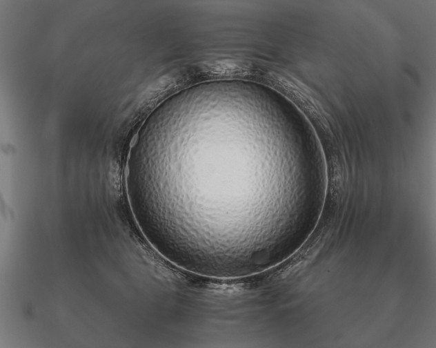 X0000090900469200708061507