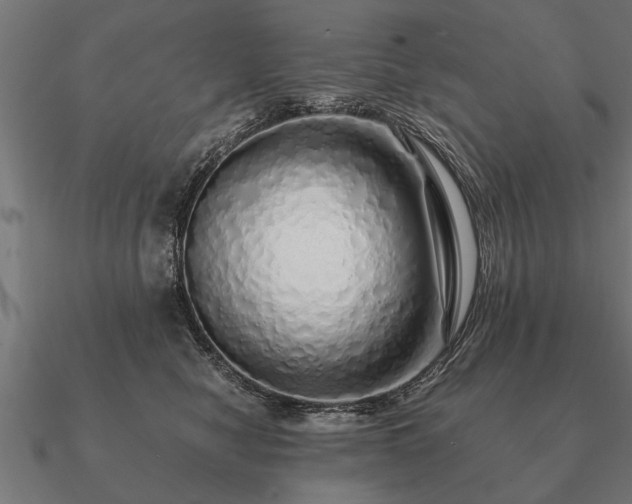 X0000090900470200708061507